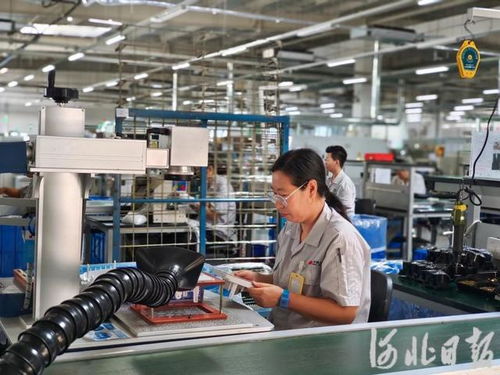 專精特新“小巨人”技術服務探訪記——秦皇島經濟技術開發區見聞